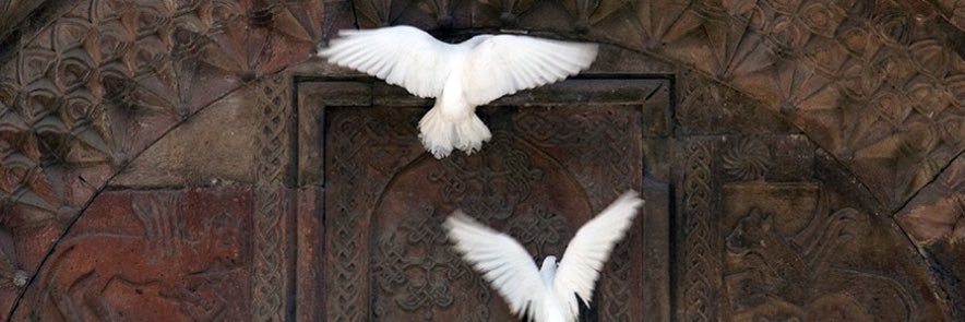 فاطمة أحمد السيد banner