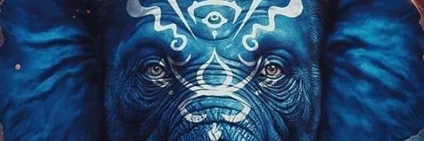 waleedmosad2's profile banner image