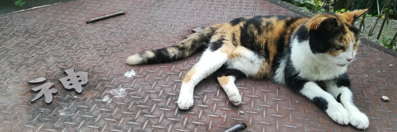 Yuzo Maruyama banner