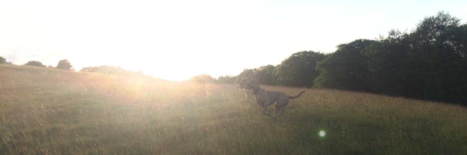 abcdefjen's profile banner image
