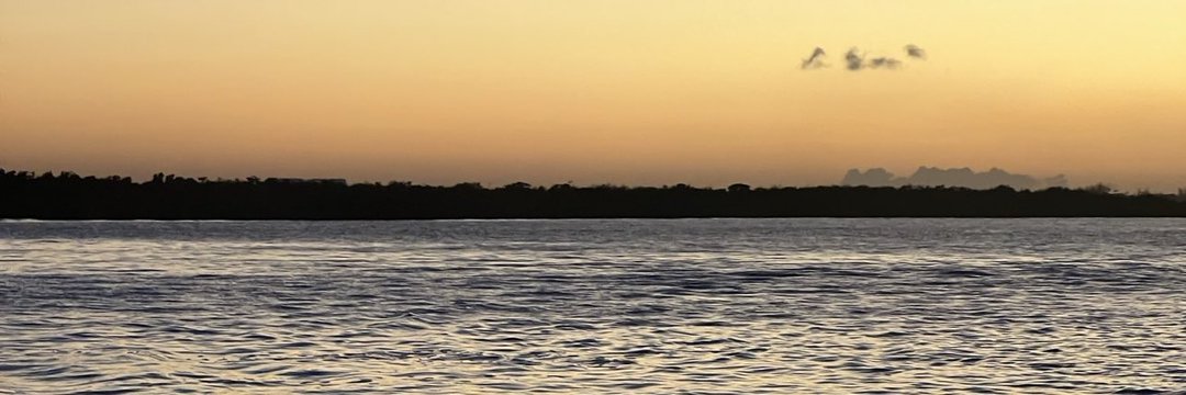 jas_freaky21's profile banner image