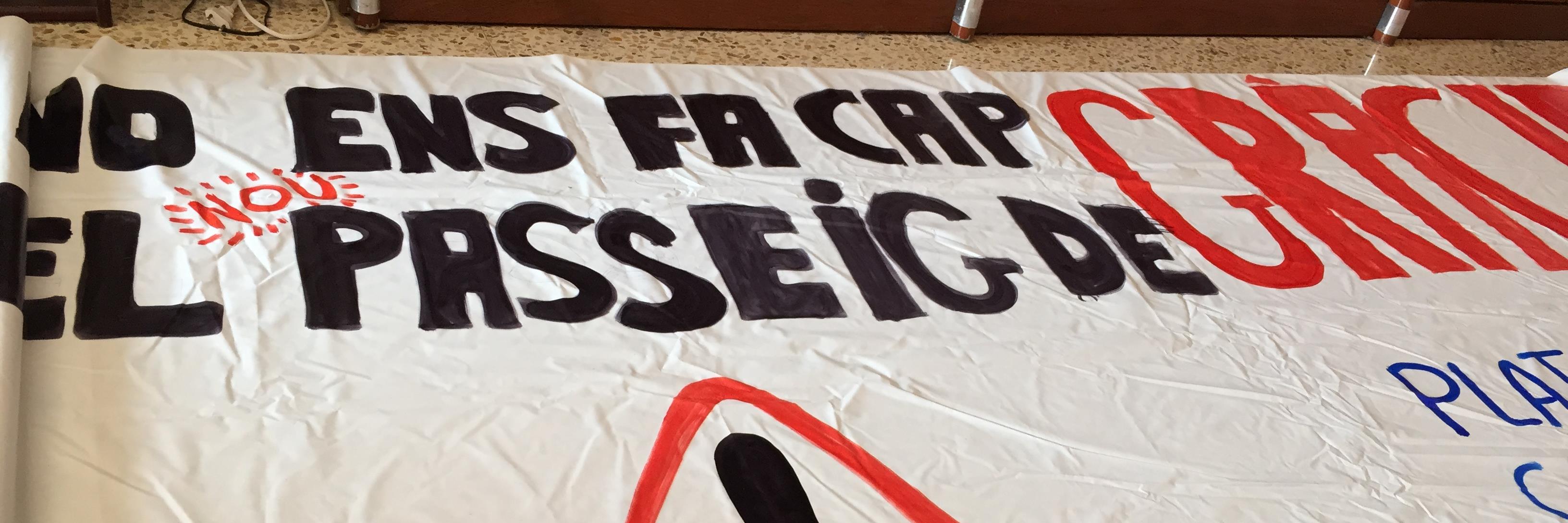 Assemblea Diversitat banner