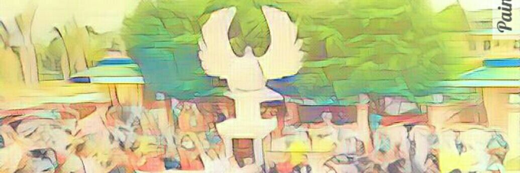 peacetruth1's profile banner image
