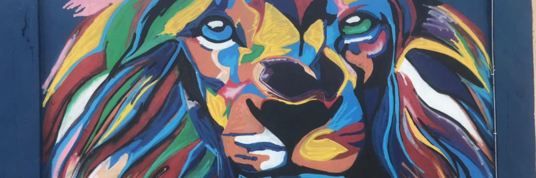 medanthghana's profile banner image