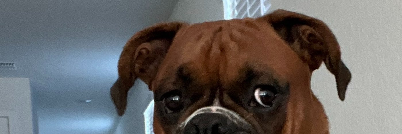 __Isabella40's profile banner image