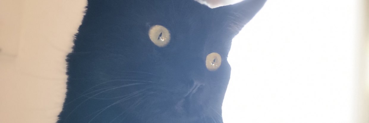Hallows_Queen's profile banner image