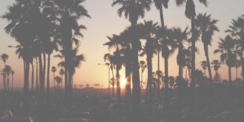 QuinnSevilla's profile banner image