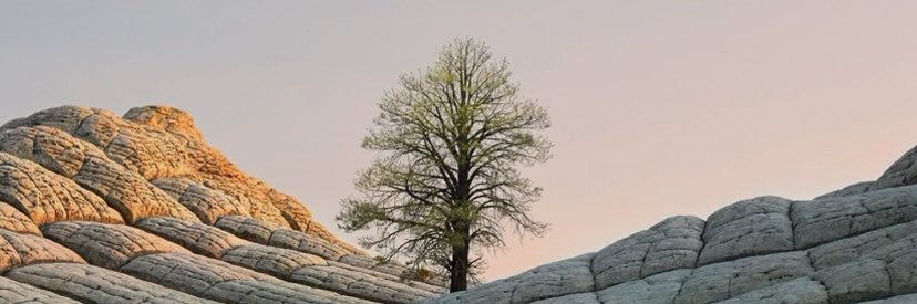 🍎𝓐𝓹𝓹𝓵𝓮🦋 banner