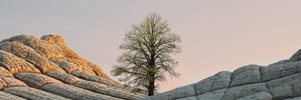 appleerung Profile Banner