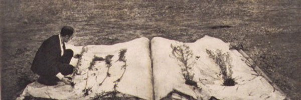 hassettbri Profile Banner