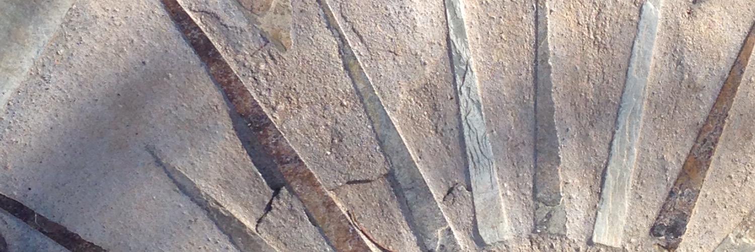 Verity3712's profile banner image