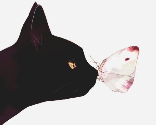Pixiee__'s profile banner image