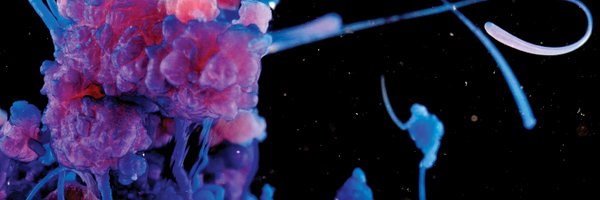 dayajamil Profile Banner