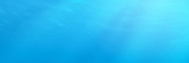noe_savio's profile banner image