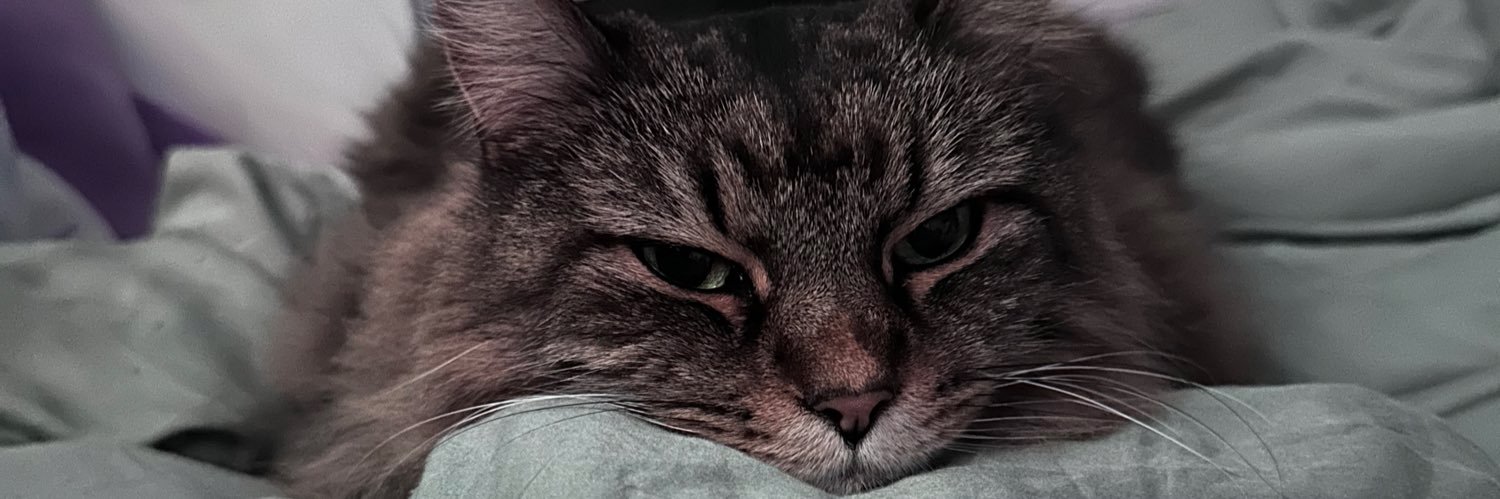 Sherri6152's profile banner image