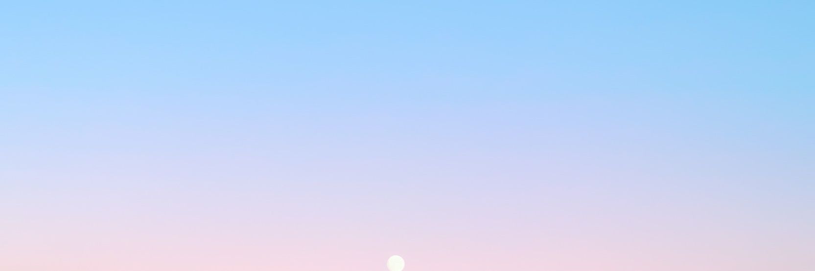 Sarina banner
