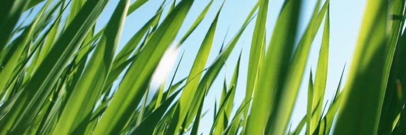 mittenday's profile banner image