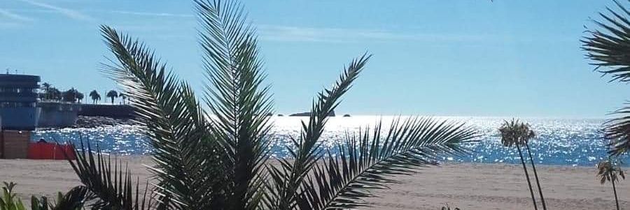Fabrizi61's profile banner image