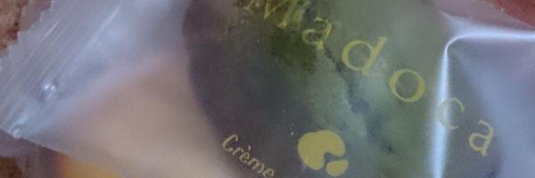 insea Profile Banner