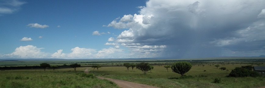 ejkato's profile banner image