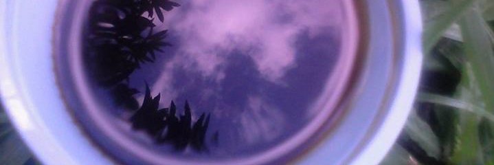 lilualondra's profile banner image