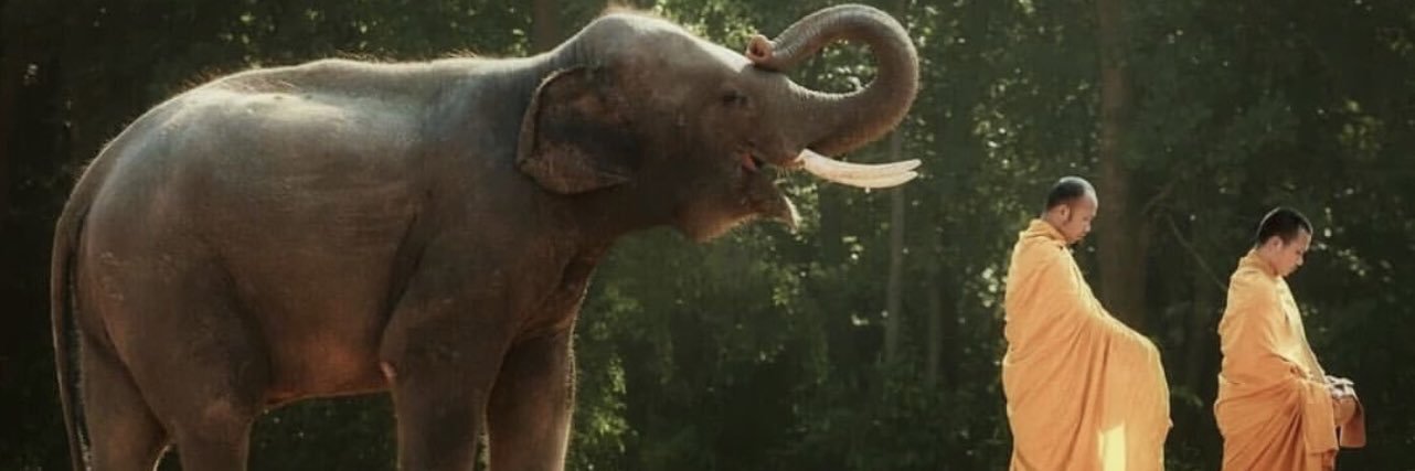max_mhade's profile banner image
