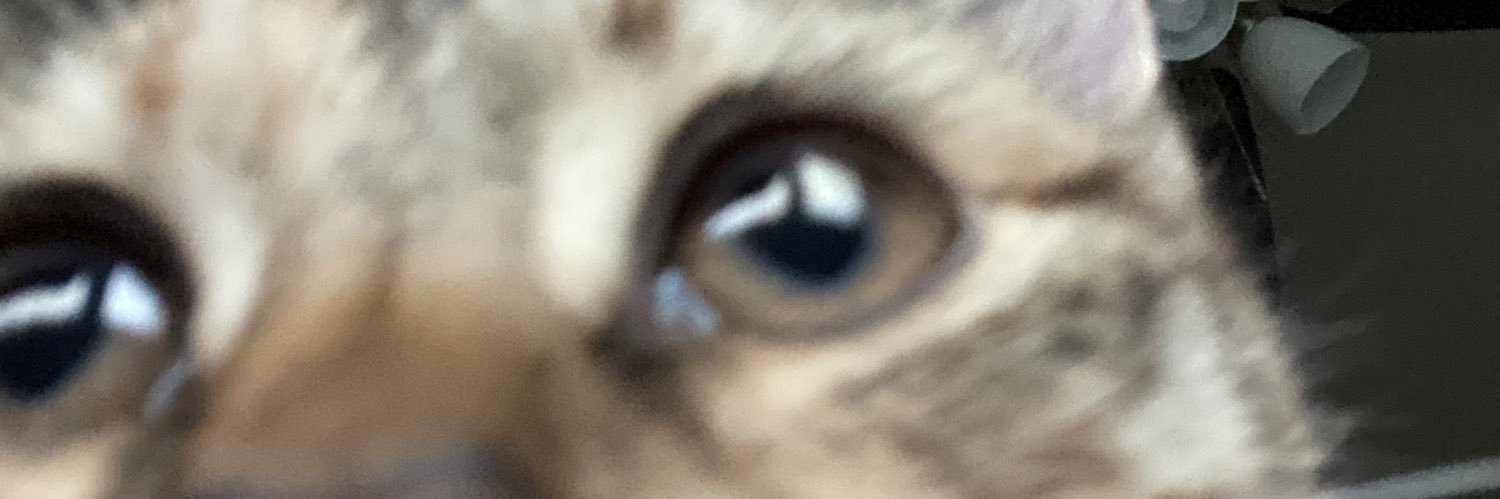 haleybear145's profile banner image