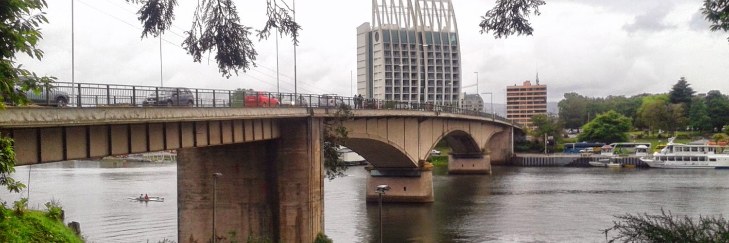 Kitty ! #NoMasRecortes 🌳🐧🐸🍉 banner