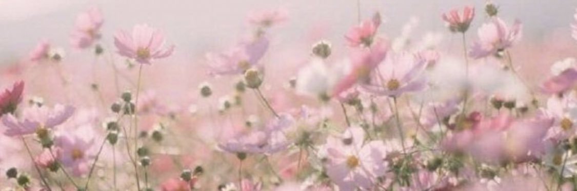 holbreanne's profile banner image