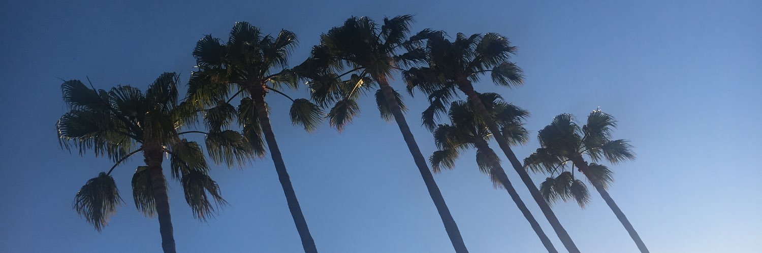 Levanciaa's profile banner image