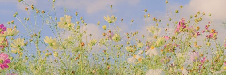 krmh_ask's profile banner image