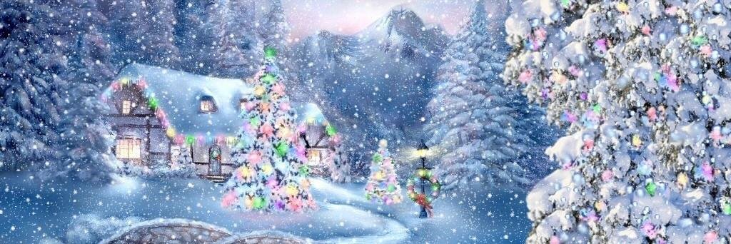 Christmas_corgi's profile banner image