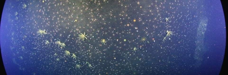 _Ceroing's profile banner image