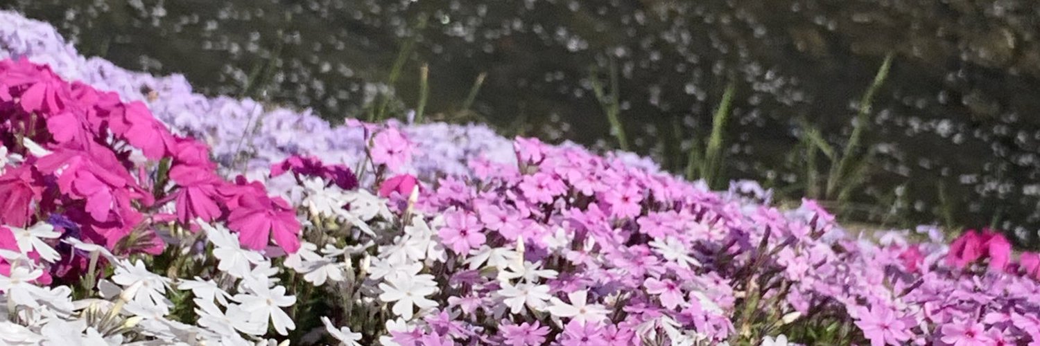 rensmyu's profile banner image