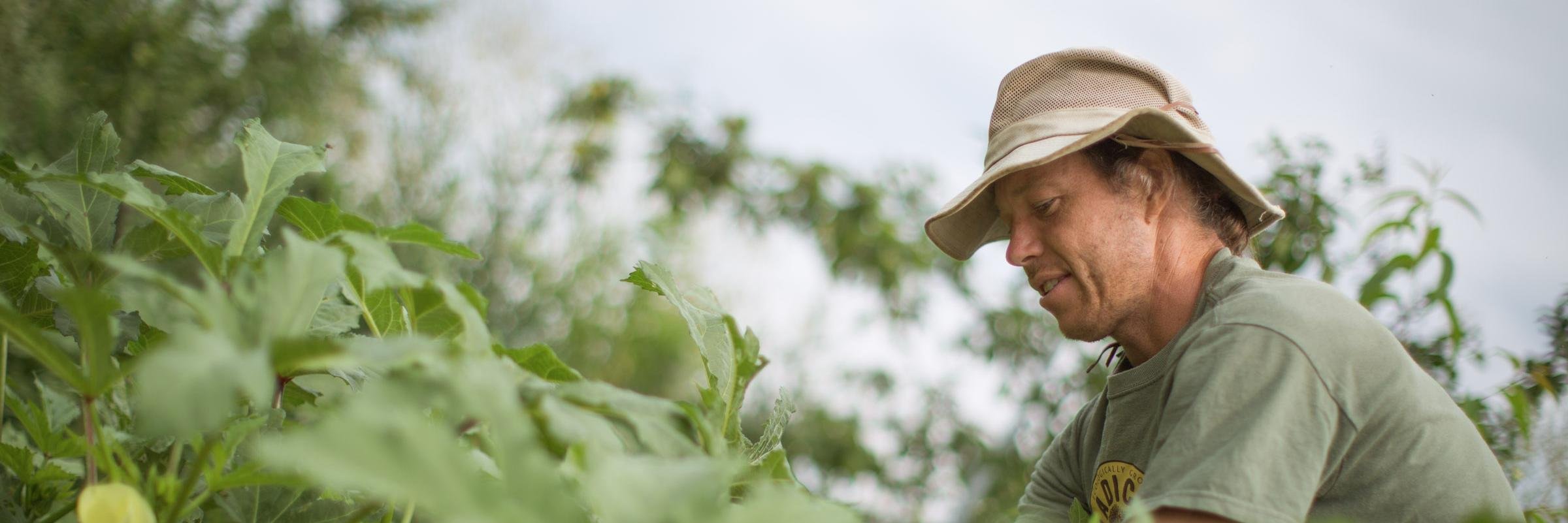 RelayFoodsRVA's profile banner image
