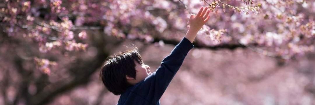 はみ banner