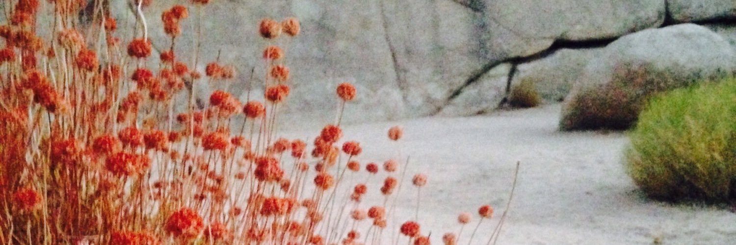 LibertySilver's profile banner image