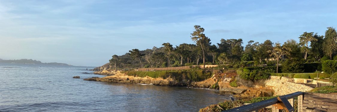 AriannaSimpson.eth banner