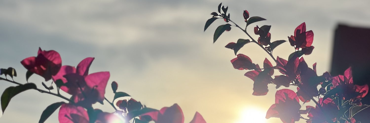 Pam_gr's profile banner image