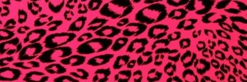 _AlexaJxoxo's profile banner image