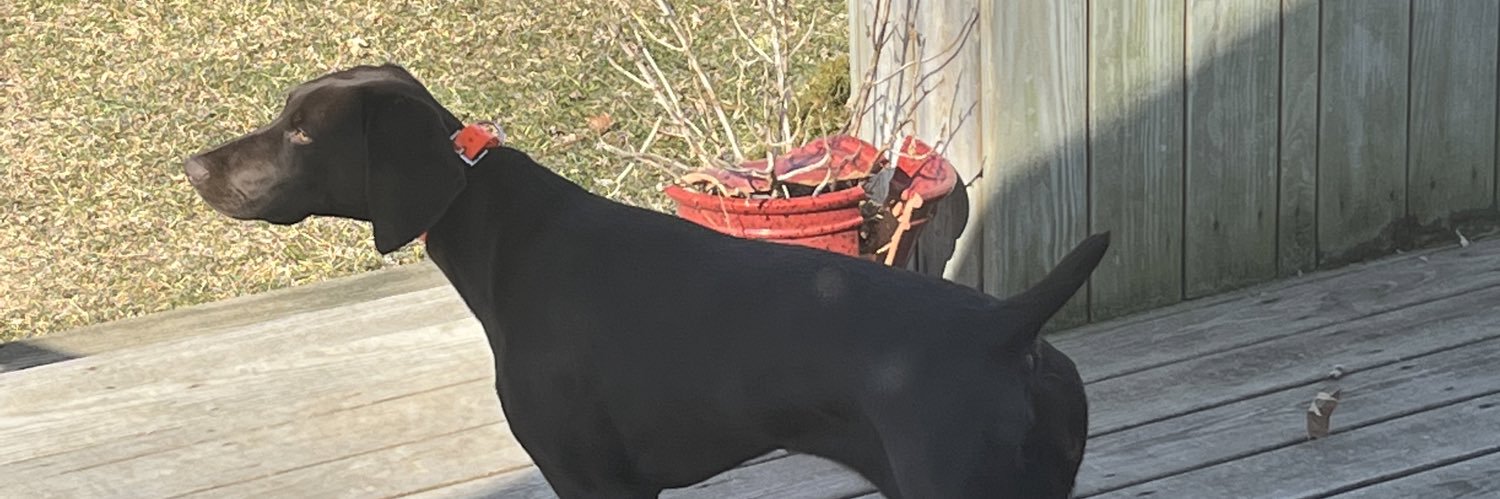 ThatsBullHunk's profile banner image