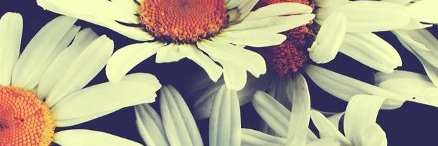 kkatiewood's profile banner image