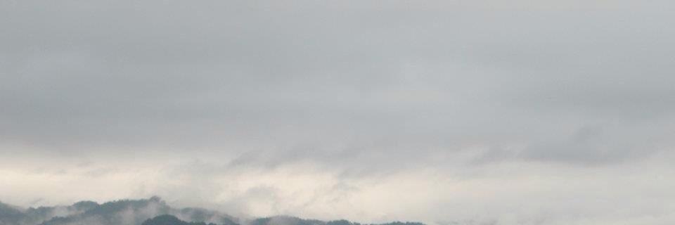 patoon's profile banner image