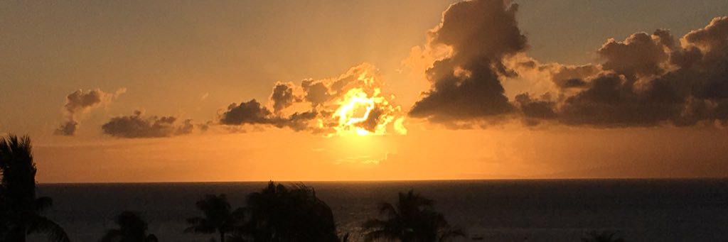 GetToNoam's profile banner image