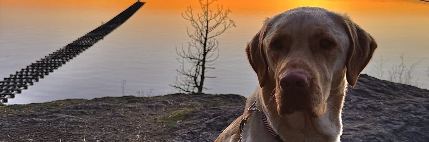 mtuck3251's profile banner image