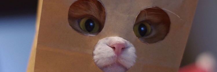 estthepest's profile banner image