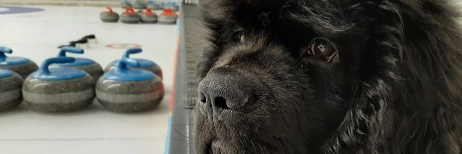 killiewillie's profile banner image