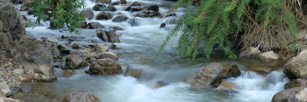 aencalada1 Profile Banner