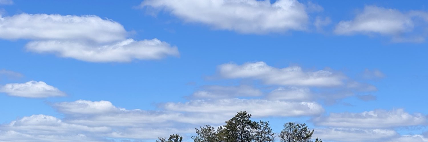 WIBeetle's profile banner image
