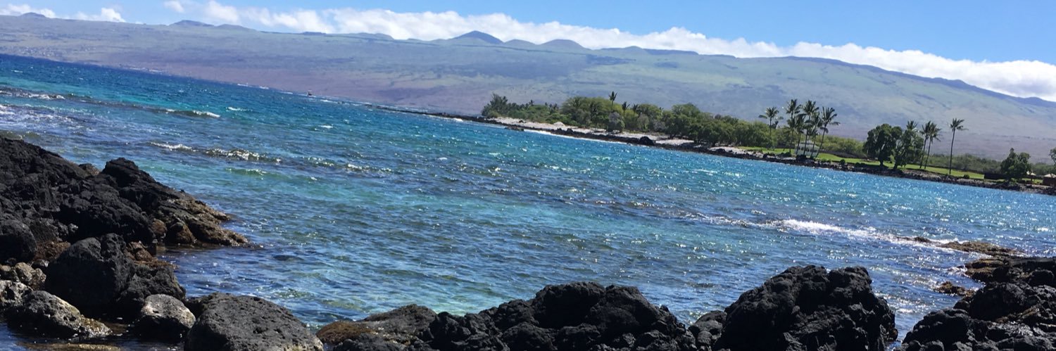 BeckyfromHawaii's profile banner image